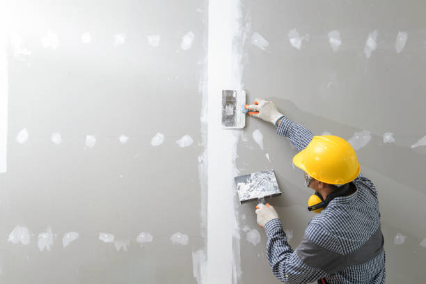 Best Mold Odor Removal Services  in Clarkston, WA