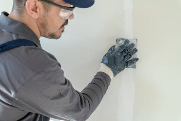 Best Black Mold Removal  in Clarkston, WA