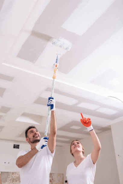 Best Dehumidification Services  in Clarkston, WA