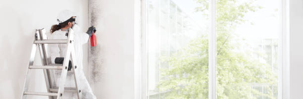  Clarkston, WA Mold Removal Pros