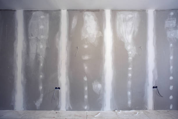 Forensic Mold Investigation in Clarkston, WA